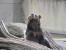 dsc00381.jpg
