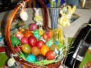 dsc00381.jpg
