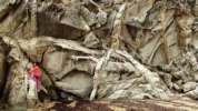 dsc00381.jpg