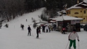 dsc00381.jpg