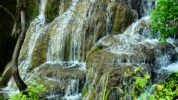 dsc00381.jpg