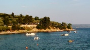dsc00381.jpg