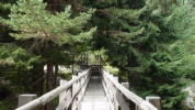 dsc00381.jpg